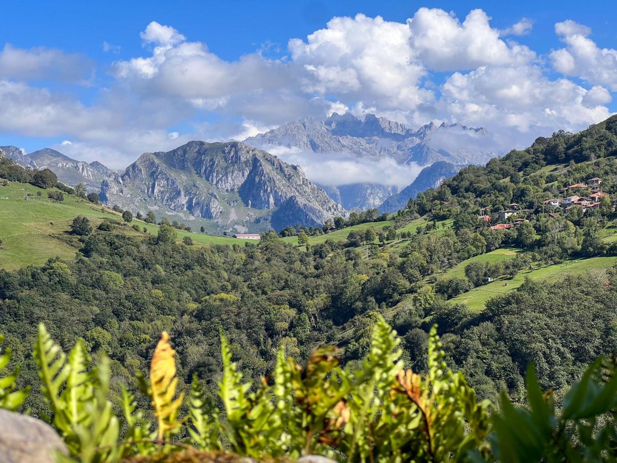 El Refugio Del Busgosu Chalet